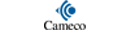 Custom elearning development